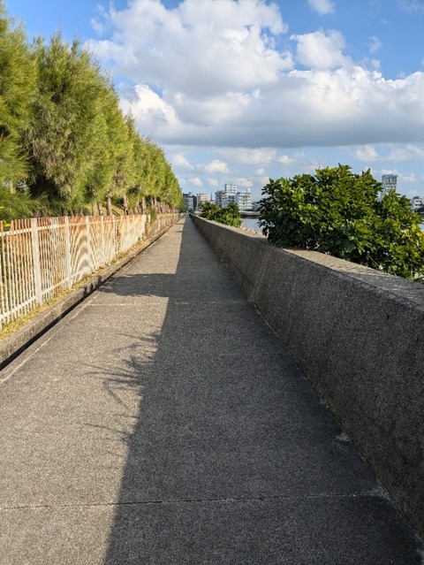 PXL_20241204_061714964