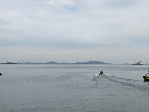 PXL_20241003_051513541