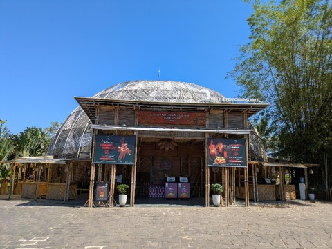 PXL_20250301_064232564