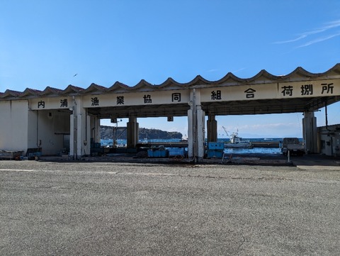 PXL_20240210_044421888