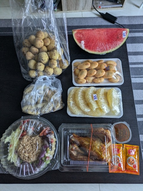 PXL_20241008_044829988