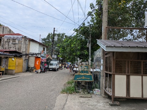 PXL_20241030_083016079