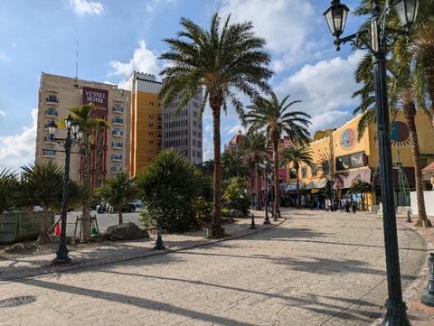 PXL_20241204_060602214