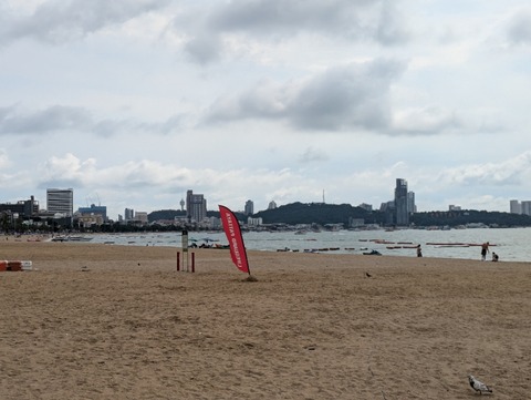 PXL_20241009_074109908