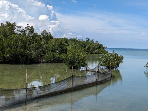 PXL_20230914_052427982