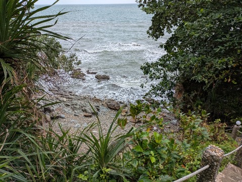 PXL_20250630_051013214