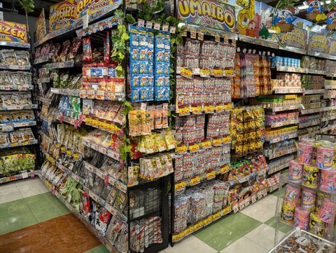 PXL_20241003_072755013