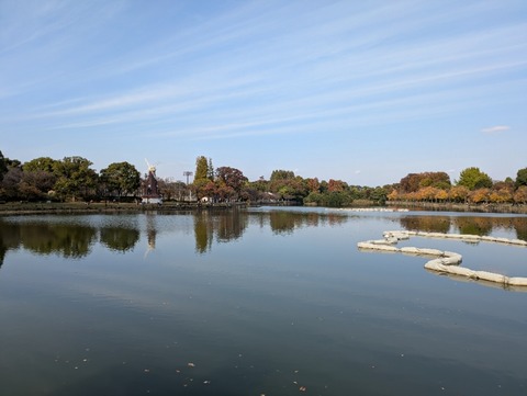 PXL_20251108_051014985