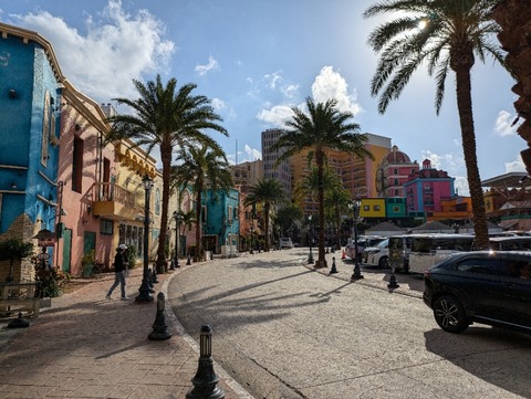 PXL_20241204_055526289