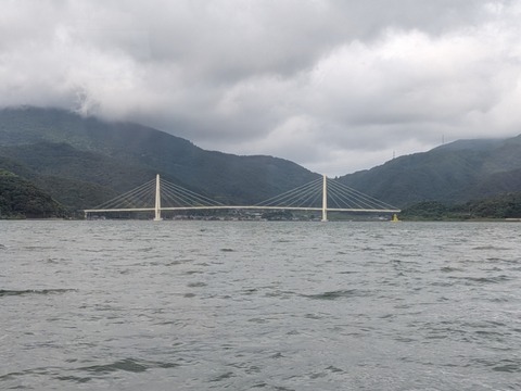 PXL_20260609_041100698
