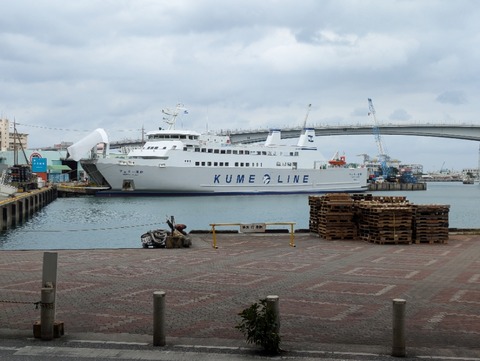 PXL_20241119_034532461