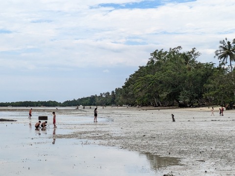 PXL_20241026_044118400