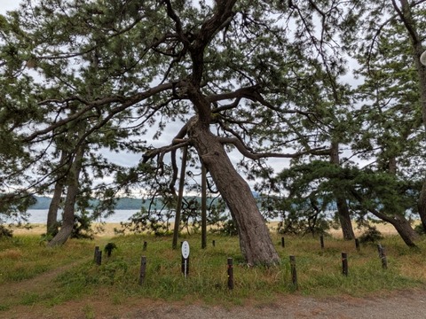 PXL_20260608_024628682