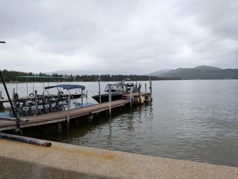 PXL_20260608_051842701