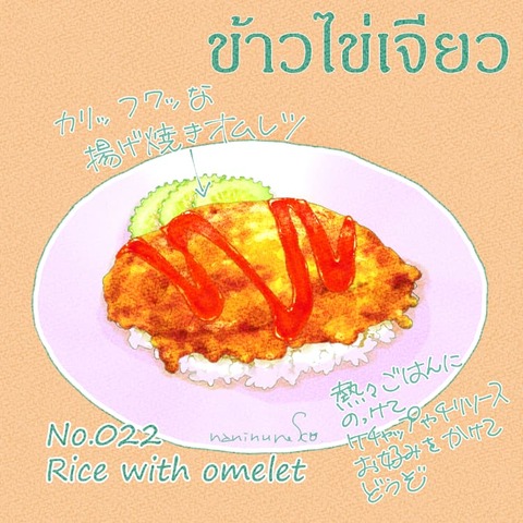 nn_tg_ricewithomlet_2