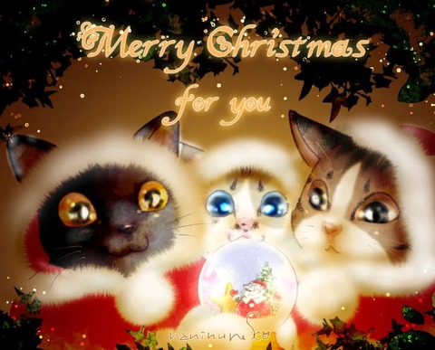 nn_Xmas2022_raf_1200_960_r