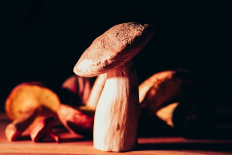 timothy-dykes-xhd_fEBzkZI-unsplash