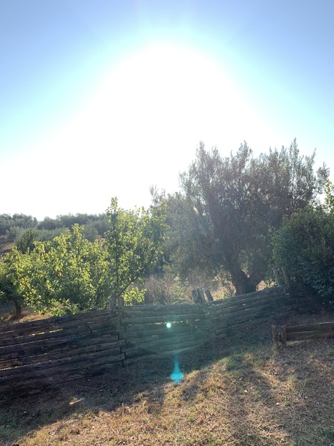 C892A9E5-EDD3-4A3B-B2C6-9FD07466C0D1