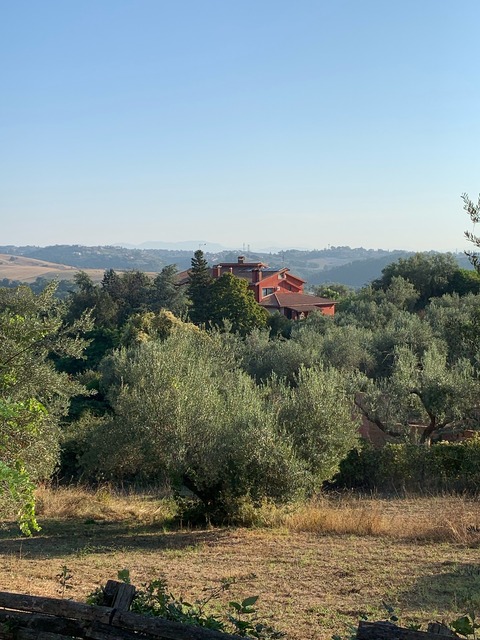 CFAC9170-3D64-4F39-9810-97A30226D543