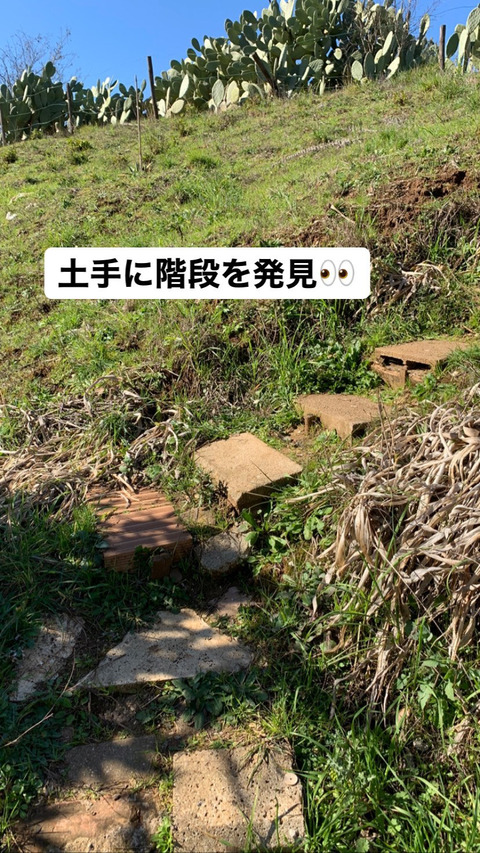 DD64B5A4-969F-4929-B246-DC6F4E11CA86