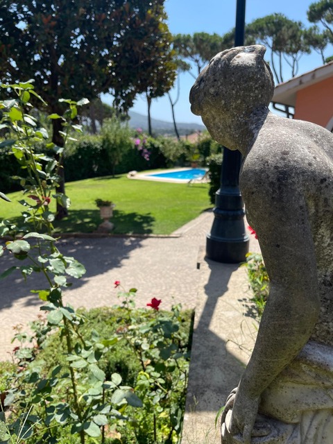 AA344325-F997-4073-96B9-2F423EA1FE32