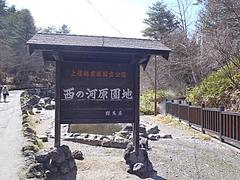 P4276780