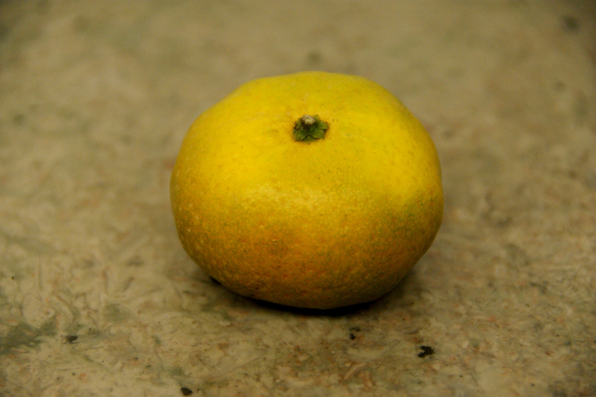 なに言うとりまんねん！果物の秋というよりは、実は日本の秋 livedoor Blog（ブログ）