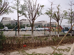 P3176312