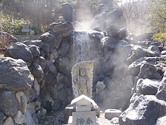 P4276789