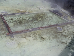 P4276744
