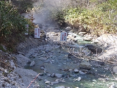 P4276793