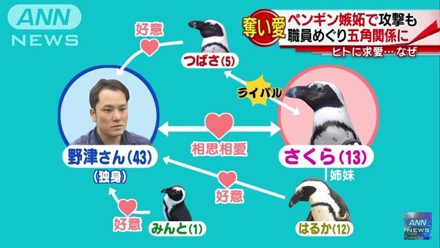 はえーでっかい なんｊの墓場