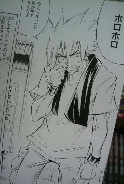 シャーマンキングとかいう漫画呼読だことあるのワイだけ説 シャーマンキングとかいう漫画呼読だことあるのワイだけ説