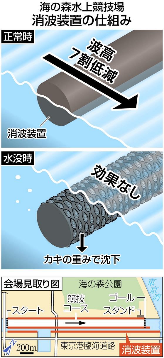 悲報 東京湾のうんち対策に投入された牡蠣 増えすぎて東京都を困らせる なんjコレクション