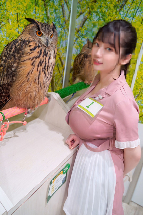 画像 フクロウさん 思ったよりデカい
