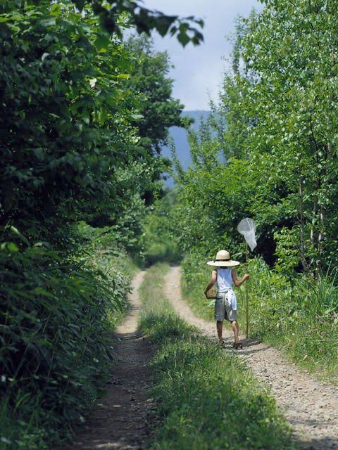 田舎の夏の風景wwwwwwwwwwwwwwwwwwwww なんjコレクション 田舎の夏の風景wwwwwwwwwwwwwwwwwwwww なんjコレクション