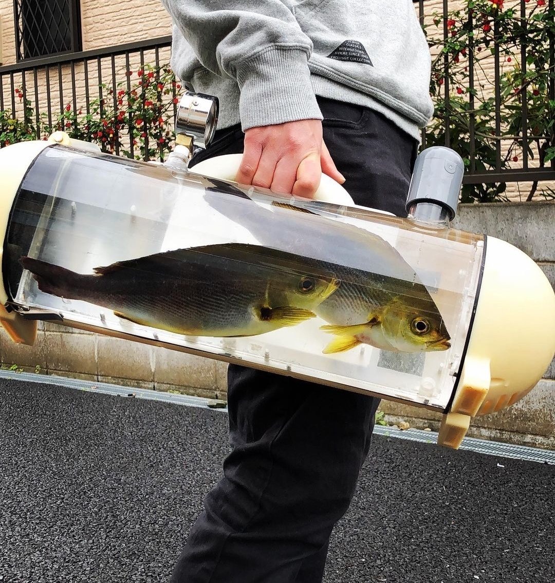 朗報 魚を散歩させる器具 開発される なんjコレクション