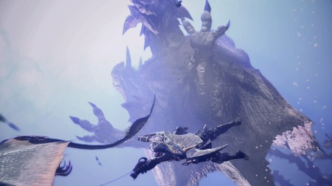 モンハンでリオレイア狩ってる時の「そうそうコレ」感は異常