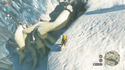 ゼルダティアキンの序盤の「雪山」で積んだ奴ら