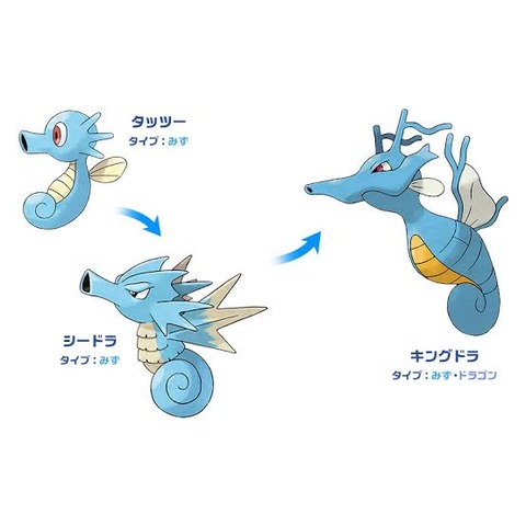 「タッツー」とかいう青いドラゴンタイプのポケモン