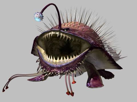 images - 2024-02-10T003721.216