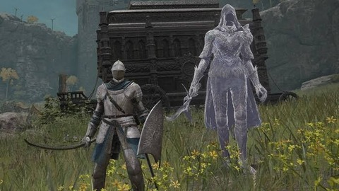 エルデンリングで遺灰使って勝てないボス倒してるやつwww
