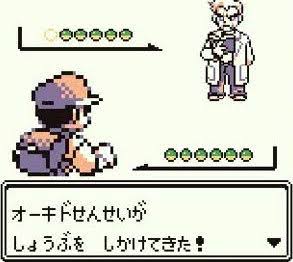 ポケモン都市伝説「レッド死亡説」「ミミッキュポリゴン説」「ナタネ真犯人説」