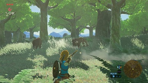 今更Switch買ってゼルダやってるんやけど