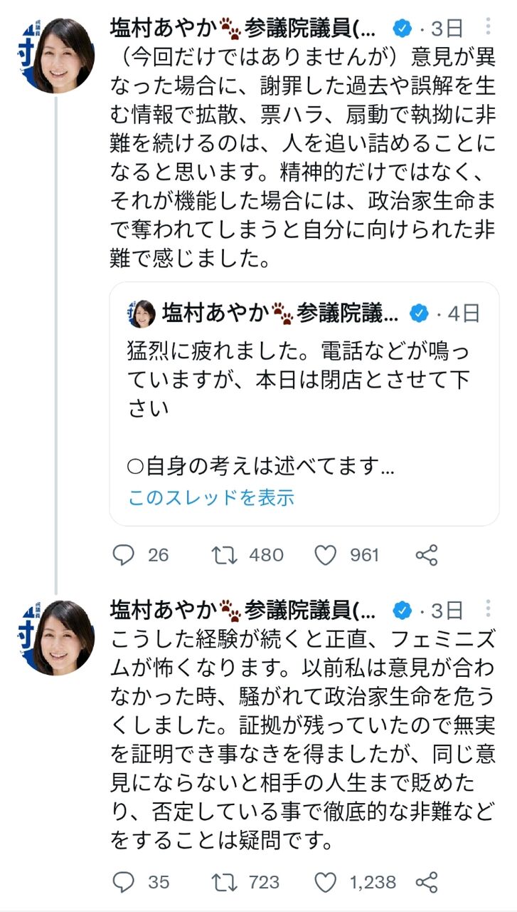 立民議員 フェミニズムが怖い 意見が合わないとデマを拡散される ろいアンテナ