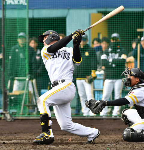 【朗報】SBドラ5高橋隆慶、ガチで当たりっぽい