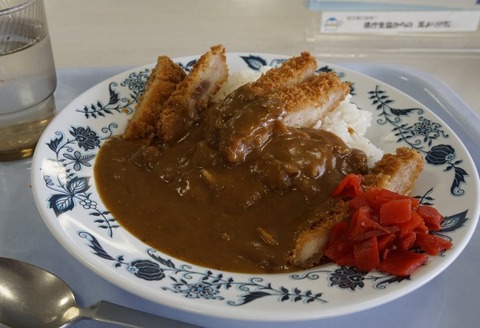 香川県庁の食堂カレー　やる気のない盛り付け、冷めたカツ、食堂のカレーにふさわしいクオリティと話題 