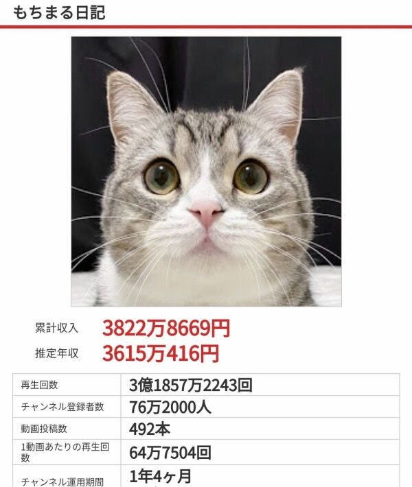 裏山 猫さん 年収3600万円稼いでしまうwww Nanjpost なんjまとめ 裏山 猫さん 年収3600万円稼いでしまうwww Nanjpost なんjまとめ