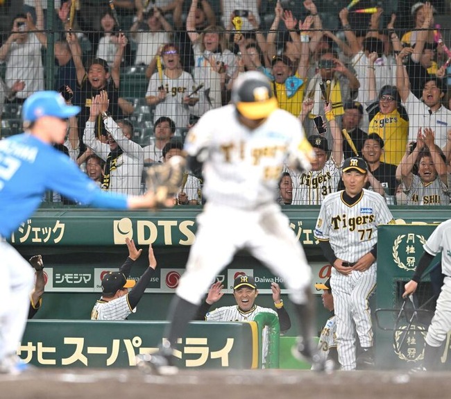 uUzvQ3lML_bkIqyakc1vFhNrRI0RUQxg5aFkrX0xDg1_T0wXrbEJjtNGtrf1