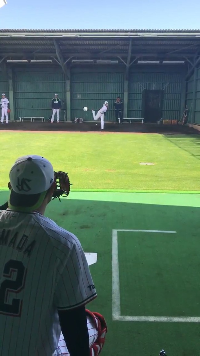 bvPf_hpubOzuqtnY.mp4_snapshot_00.07_[2020.02.24_11.07.08]